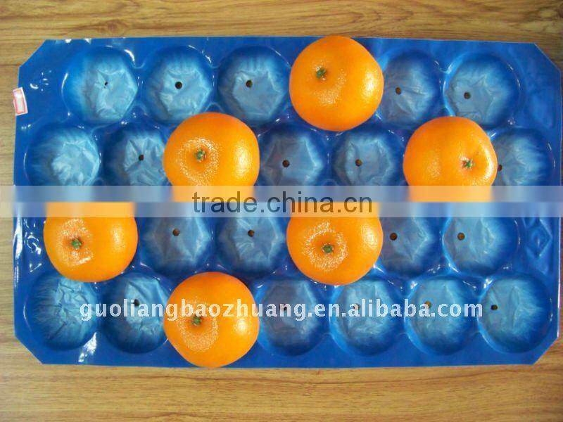 24/25/26/27 Holes Fruit Punnet