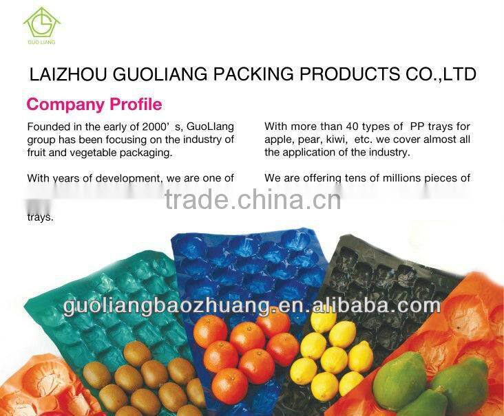 29x49cm/39x59cm PP Fresh Apple Fruit Packaging Tray