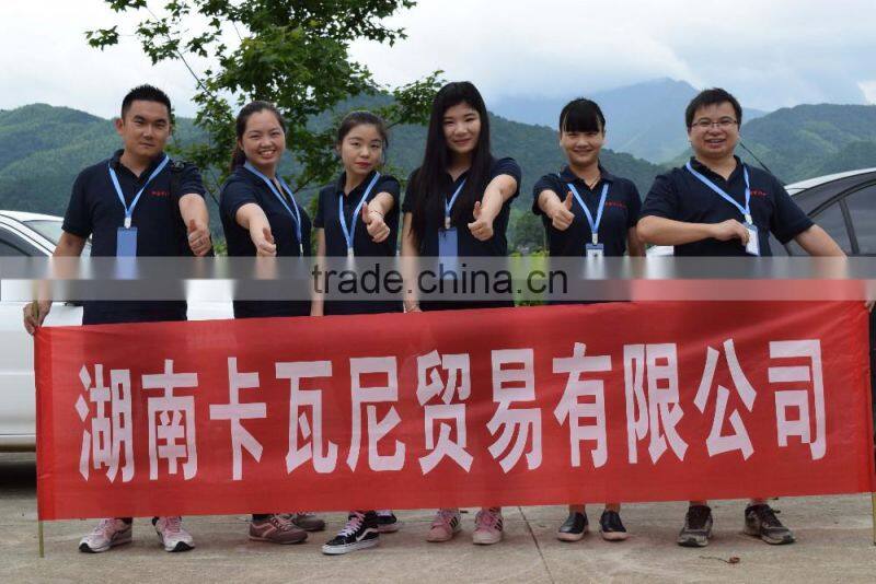 High Quality Perlight pwm solar charge controller manual for solar system