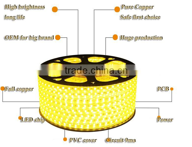 220v 110v RGB Led Strip Light