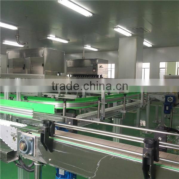 China factory customized plastic top chain conveyor production line