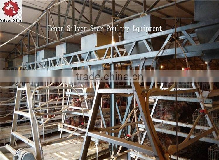 3 tier design A type ladder layer cages for chickens with scarpper manure removal system
