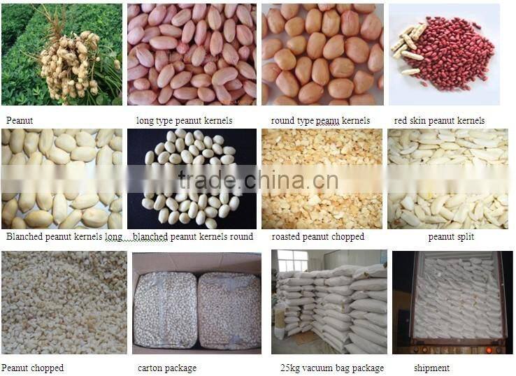 Peanut kernels 38-42, 28-32, 24-28