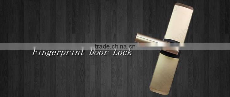 2016 Convenient Keypad Fingerprint Door Magnetic Lock China