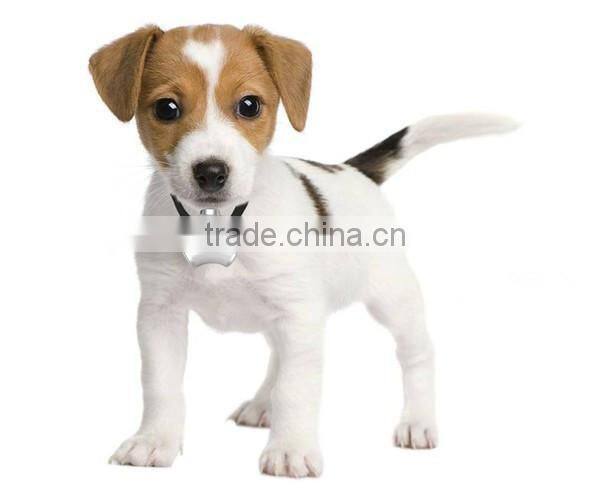 8GB Internal Memory Lightweight 720P mini digital mini pet camera