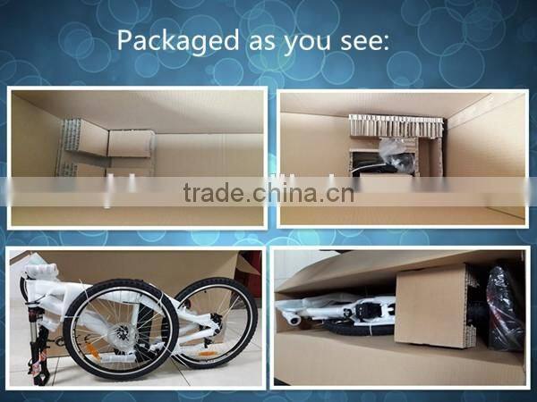 small folding electric bicycle new model electric bicycle