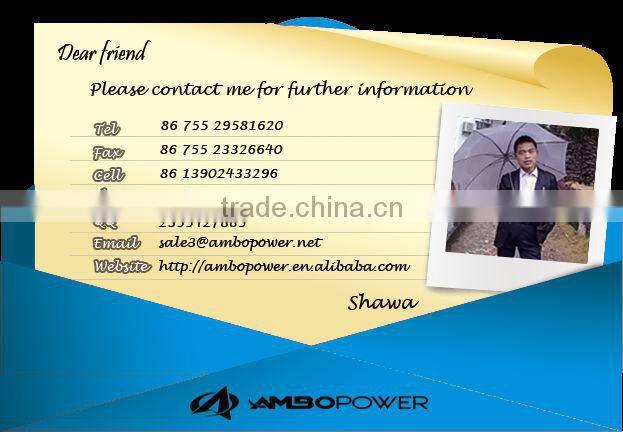 consumer electronics power bank for blueberry