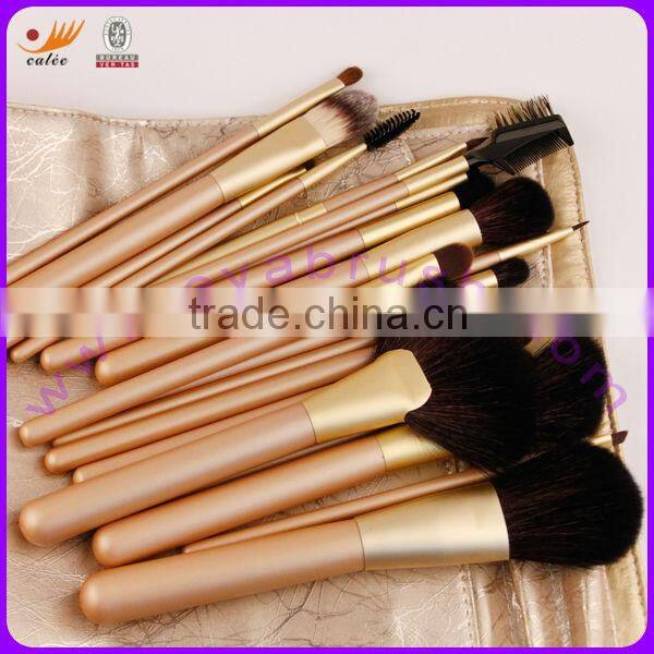 Professional Cosmetic Brush Set With 21Pcs