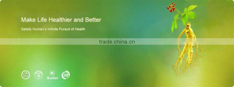 Cortex Cinnamomi Extract/Cinnamon Bark Extract