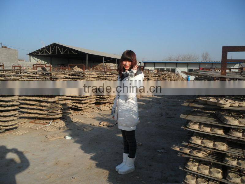 full automatic paper egg tray making machine
