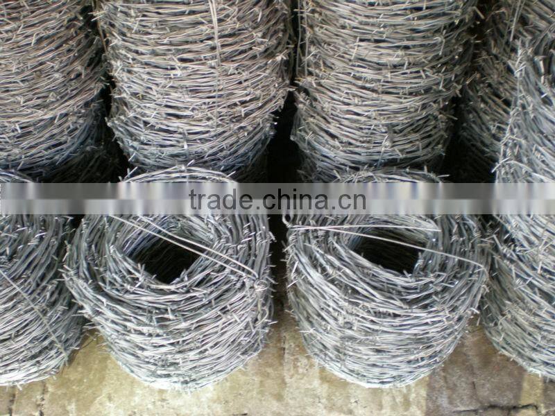 Electro galvanized barbed wire manufactory