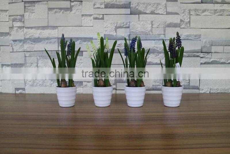Plastic hyacinth flower bonsai for home and commercial decoation