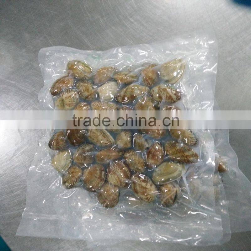 frozen boiled yellow short necked clam on time delivery