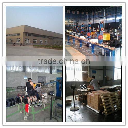 ER70S-6 Carbon Dioxide Gas Shielded Welding Wire with Factory Price