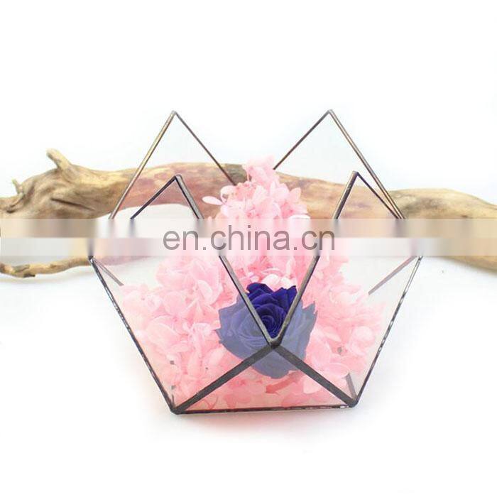 terrarium with ring geometric glass terrarium wholesale