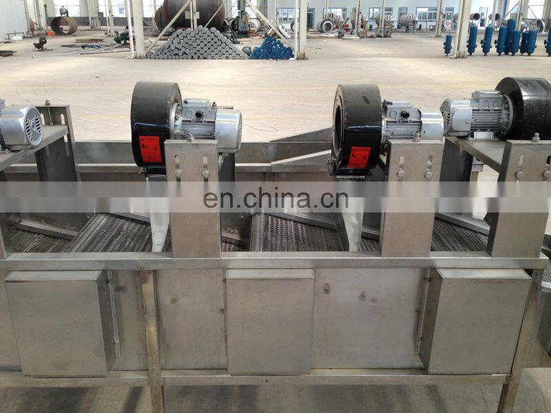 vegetable washing machine by air bubble,Industry used vegetable washing machine