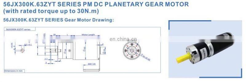 12v 24v dc 75 watt 100 watt motor brushed OPTION 12volt 24volt 40volt
