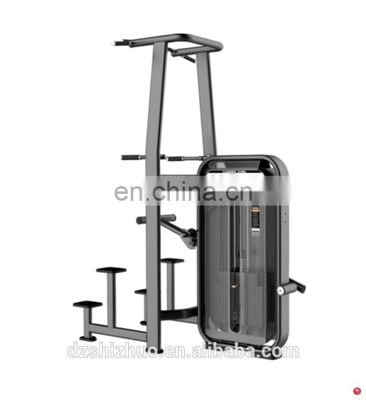 Hot sales high quality commercial strength training exercise gym fitness gym equipment Dip Chin Assist machine SES09