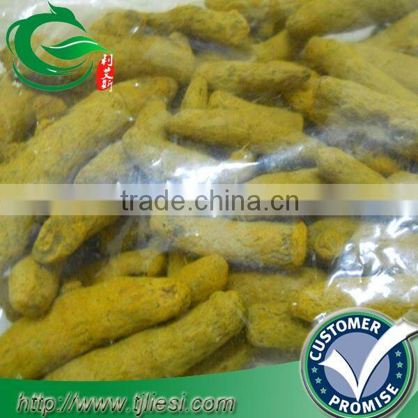 supply tumeric root with low price