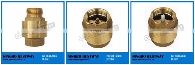 50mm plastic non-return check valve for water meter