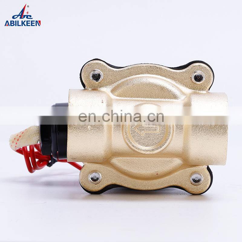 2W200-20 DC12/24V Normally Closed Type Direct Acting AC36/110/220/380V Electric Brass Solenoid Valve Price For Water