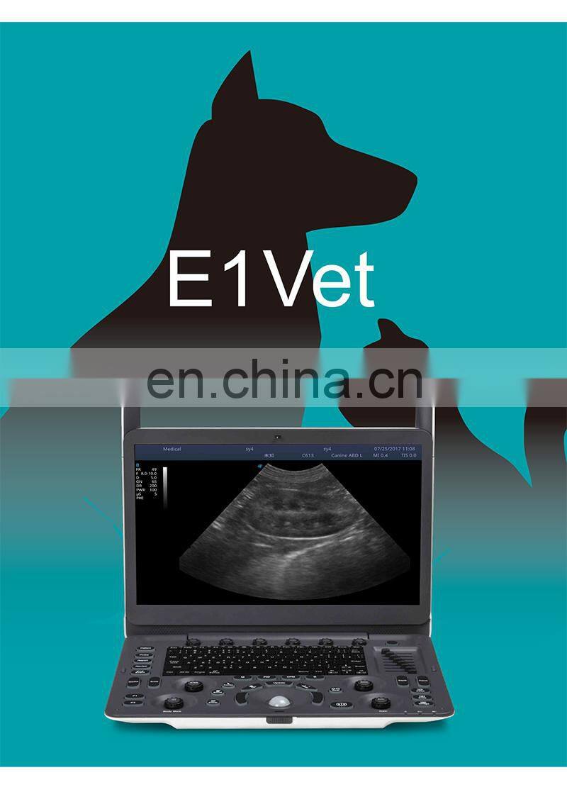 Factory price ultrasound device Price / New Released Sonoscape Vet Ultrasound E1V