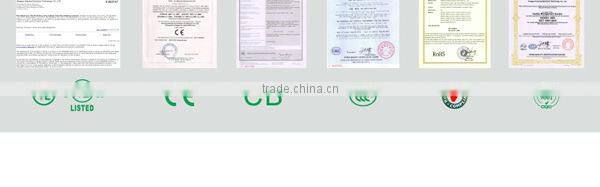 Cost-effective and eco friendly low frequency street lamp