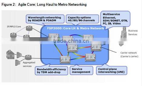 ADVA dwdm FSP 3000-1U fiber optic terminal equipment