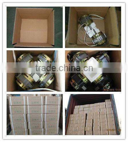 60W Clotes Dryer Motor/Spin Motor