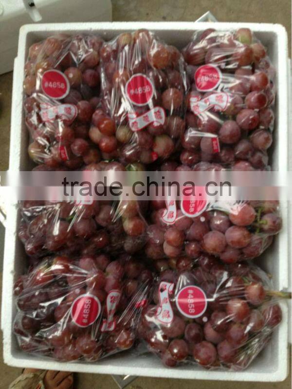new crop fresh red global grape