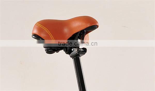 high quality 28' City 700c electric bike with EN15194 (TDB19Z)