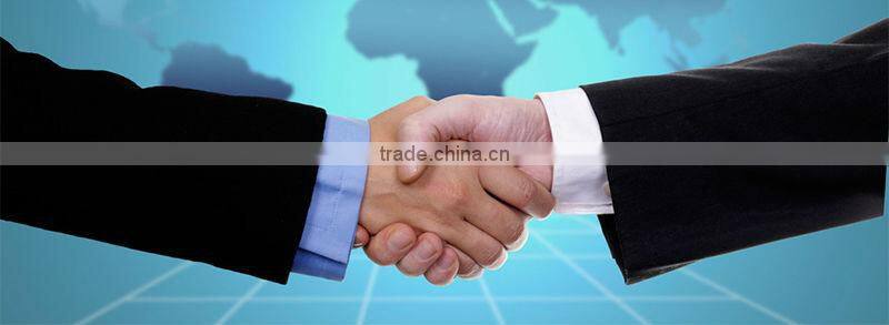 100% Cooper Wire AC Single Phase Portabale Kerosene Power Generator