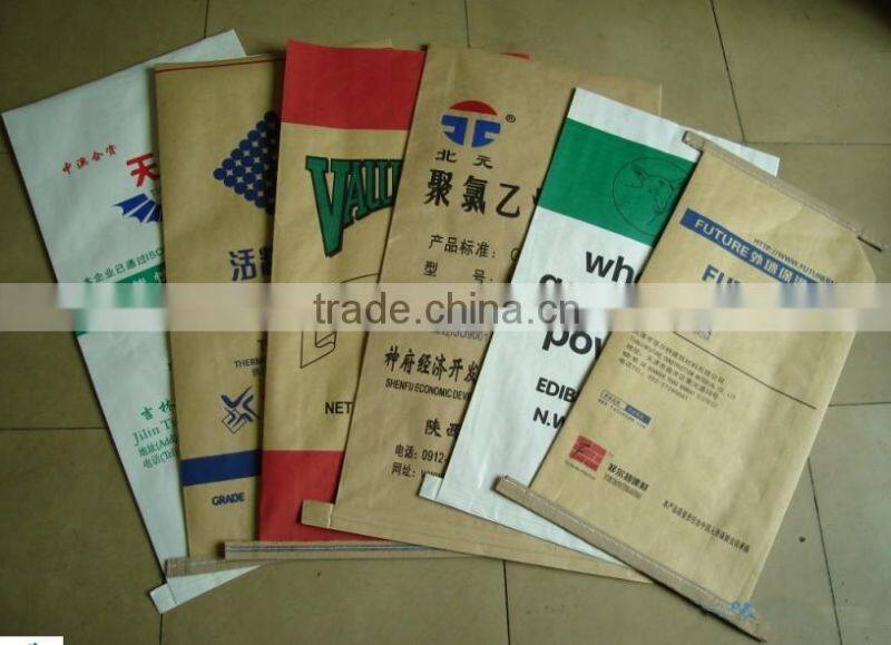 plastic paper bag/cement plastic paper bag/plastic-paper kraft bag