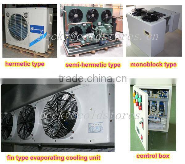 standard size walk in freezer room temp.-18degree C for meat storage