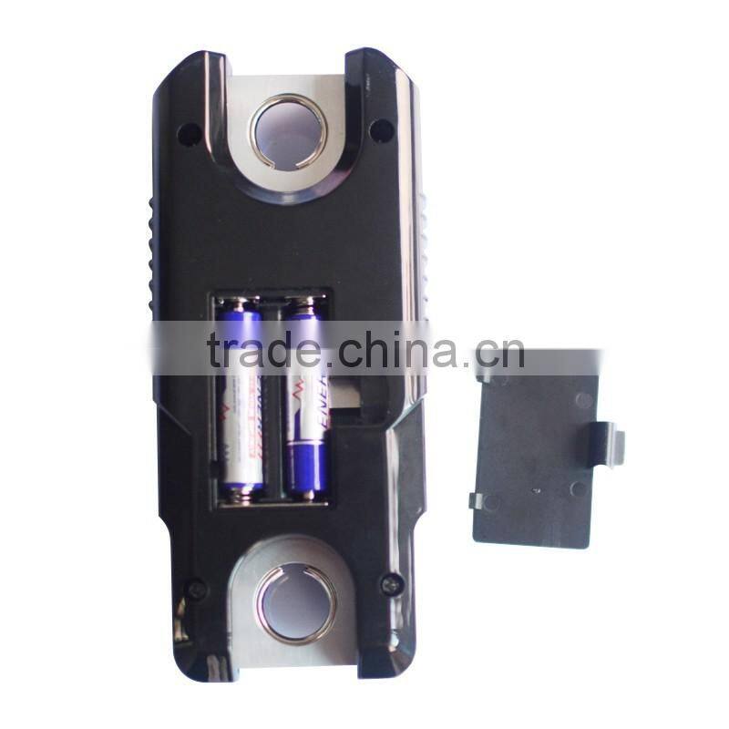 WH-C300 300kg/100g electronic crane digital weighing scale