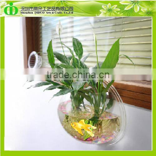 DDT-0082 Trade Assurance Fish Tank Guangdong