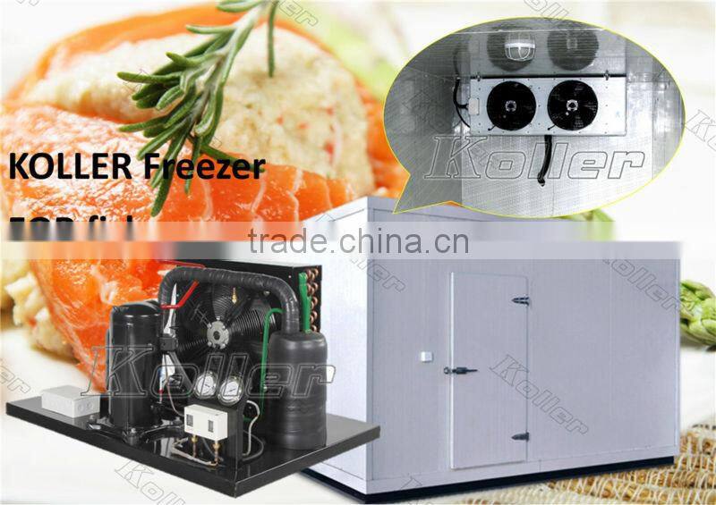 walk in Koller freezer cold room for fishery