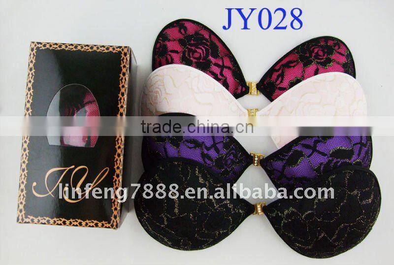 Newest Design cloth Lace Bra push up sexy bra (JY028)