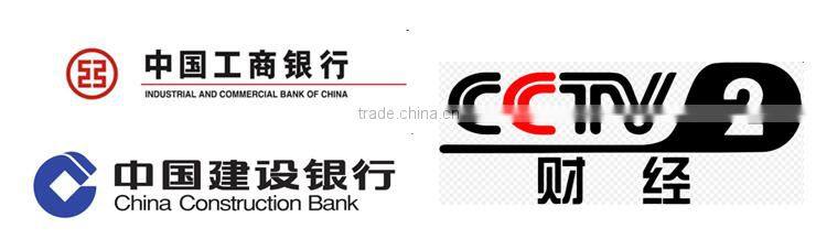 Rouge Exterior Granite Stone Paint for Wall