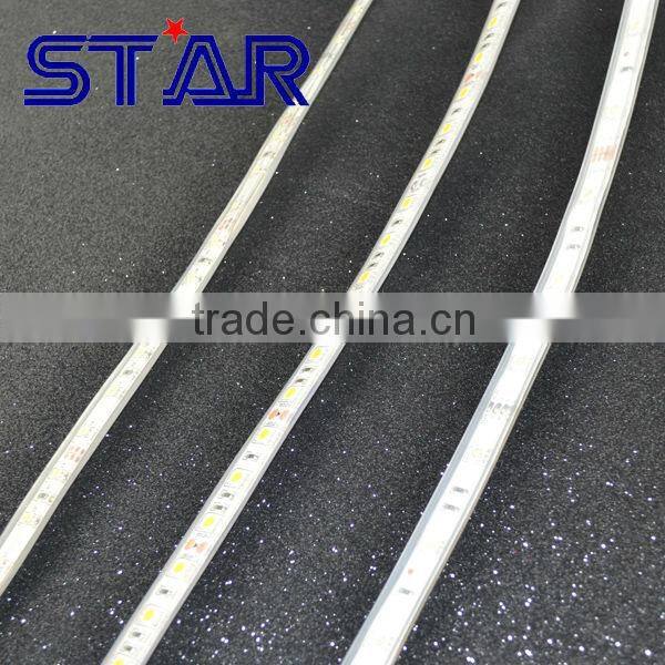 Flexible LED Strip Bande IP68 3528 300led 24w 12V 6000-8000K