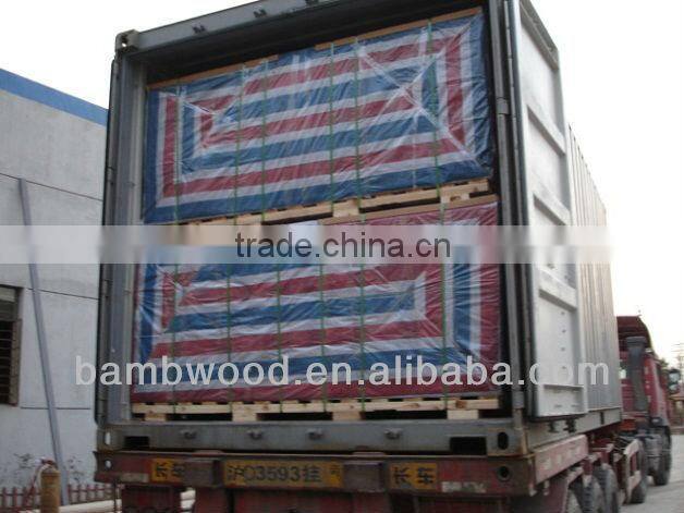 HOT!2013 New Stype and Popular WPC Decking Tile