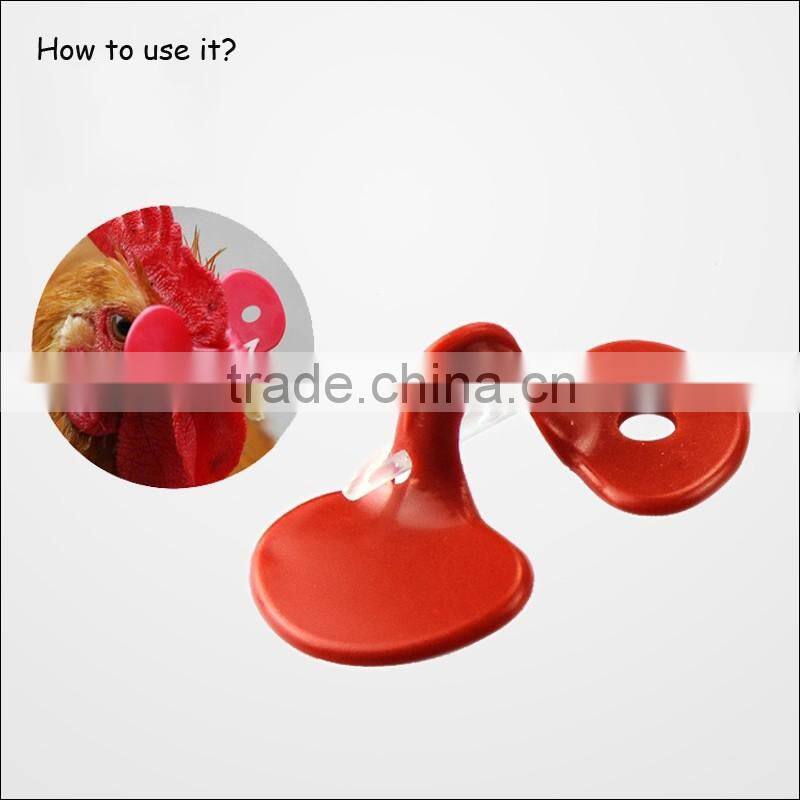 New type 5.5 cm plastic chicken eye glasses for sale