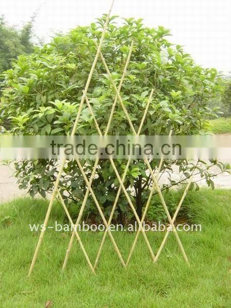 Using support plant and flower little bamboo hoop