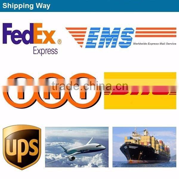 2450mAh BL207 Competitive Price Standard Lipo Mobile Phone Battery for Lenovo K900