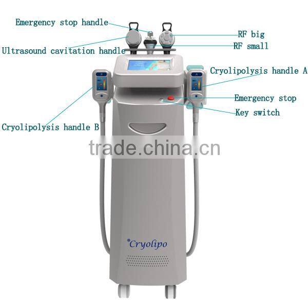 Freeze fats system handle vacuum slimming massager