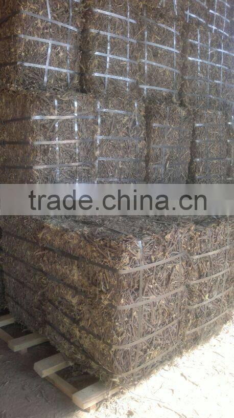 Licorice Root Exporters from India