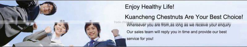 Best Chinese chestnuts for sale--Organic kuancheng Chestnuts