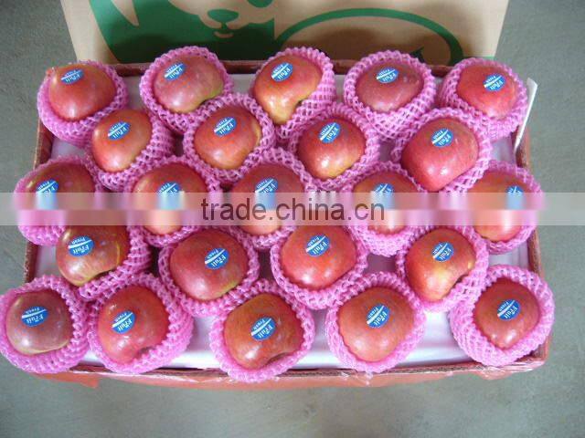 China Unbagged Fuji Apple