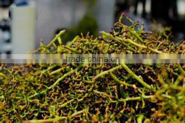 Grape processing machine , grape de-stemmer and crushing machine