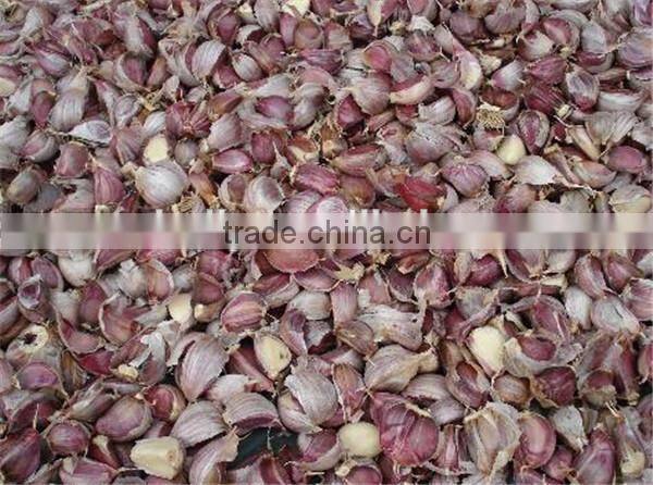 Hot sale garlic breaking machine 0086-15037185761